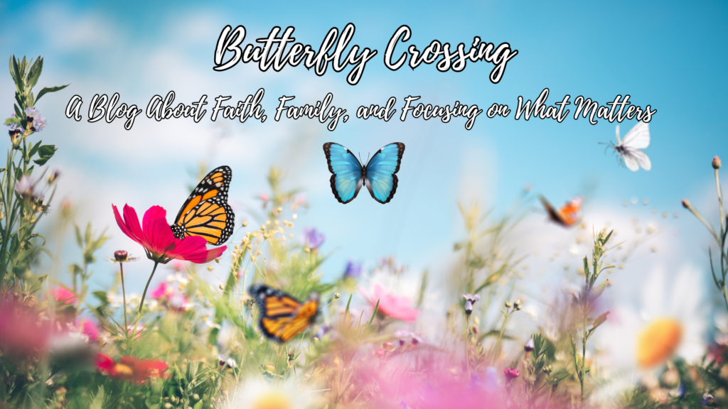 A field of flowers with butterflies flying around. Text on top of that reads 'Butterfly Crossing, a blog about faith, family, and focusing on what matters'